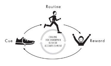 cue routine reward charles duhigg power of habit